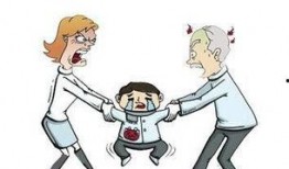 石家庄小孩爆料事件最新